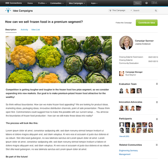 Eine HYPE Ideenkampagne in IBM Connections