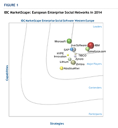 The IDC Marketscape 2014 Report