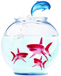 How to Develop a Blue Ocean Strategy with Customer Instinct
