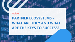 A Complete Guide to Partner Ecosystems