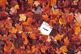 What’s the Best Idea Management Software of Fall 2025?
