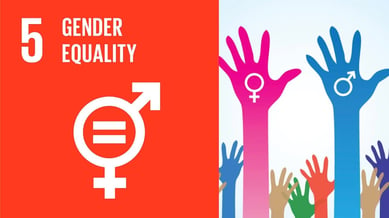 The 17 UN Sustainable Development Goals - SDG 5 = Gender Equality