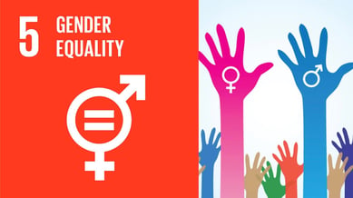 The 17 UN Sustainable Development Goals - SDG 5 = Gender Equality