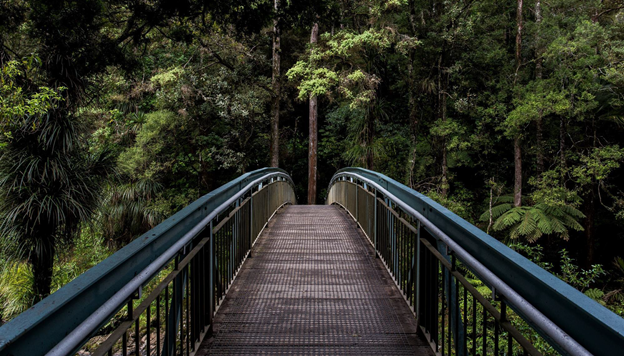 SUSTAINABILITY AS A KEY DRIVER OF INNOVATION