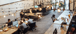 Why You Need a Diverse Ecosystem to Drive Innovative Thinking
