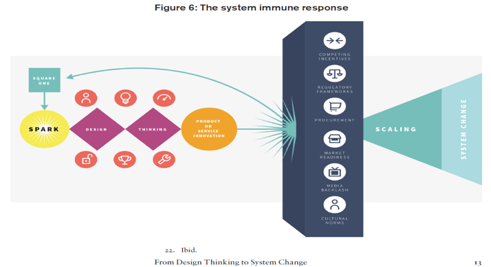 The system immune response