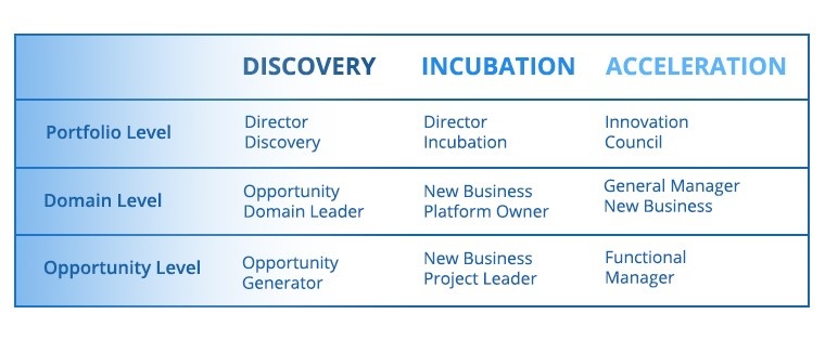 establishing-innovation-as-function