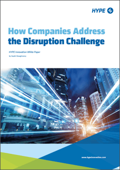cover page of the report how companies address the disruption challenge