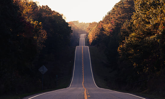 Exploring the Intrapreneurial Way in Large Organizations